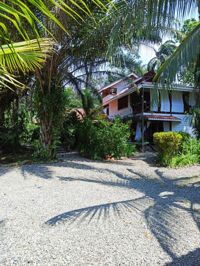 Chilamate Holiday House Apartment Puerto Viejo de Talamanca Exterior foto